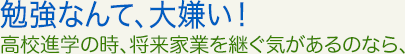 勉強なんて、大嫌い！