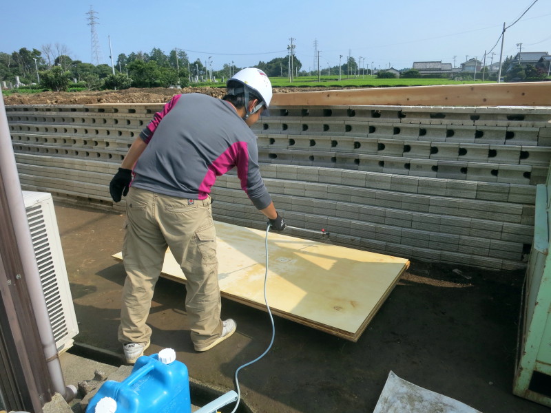 「ホウ酸で白アリ駆除?」